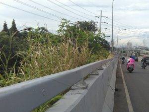 Tampak pemandangan gersang di sisi jalur fly over (bukan tol) Cengkareng