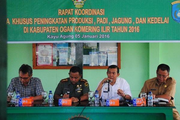 Setahun Produksi Padi Meningkat 12,6 Persen