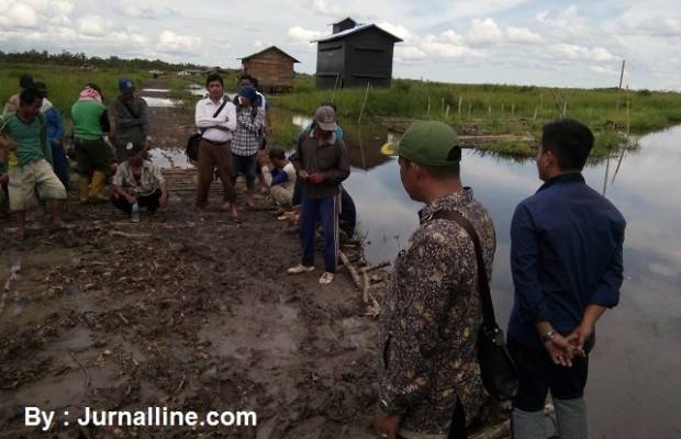 PT. Samora Usaha Jaya (SUJ) Abaikan Surat Bupati