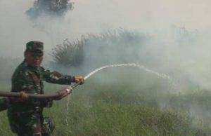 180 Hektar Lahan Gambut di OI terbakar